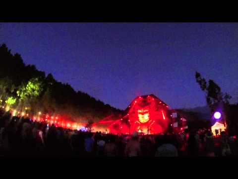 Q dance mysteryland