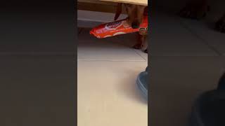 Sneaky Sausage Dog Steals Owner's Treats