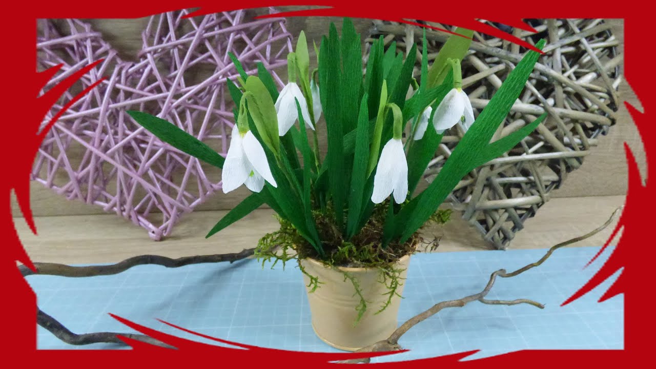 Schneeglöckchen aus Krepppapier basteln DIY - YouTube Bildidee 