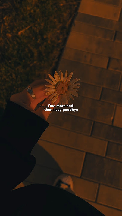 Heat Waves - Glass Animals ( You look so broken when you cry) lyrics | aesthetic | whatsapp Status 💕