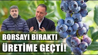 Borsayı Bıraktı Blueberry Üretiyor! Dünyanın Gözü Bu Üründe! / Abi Nerdesin?