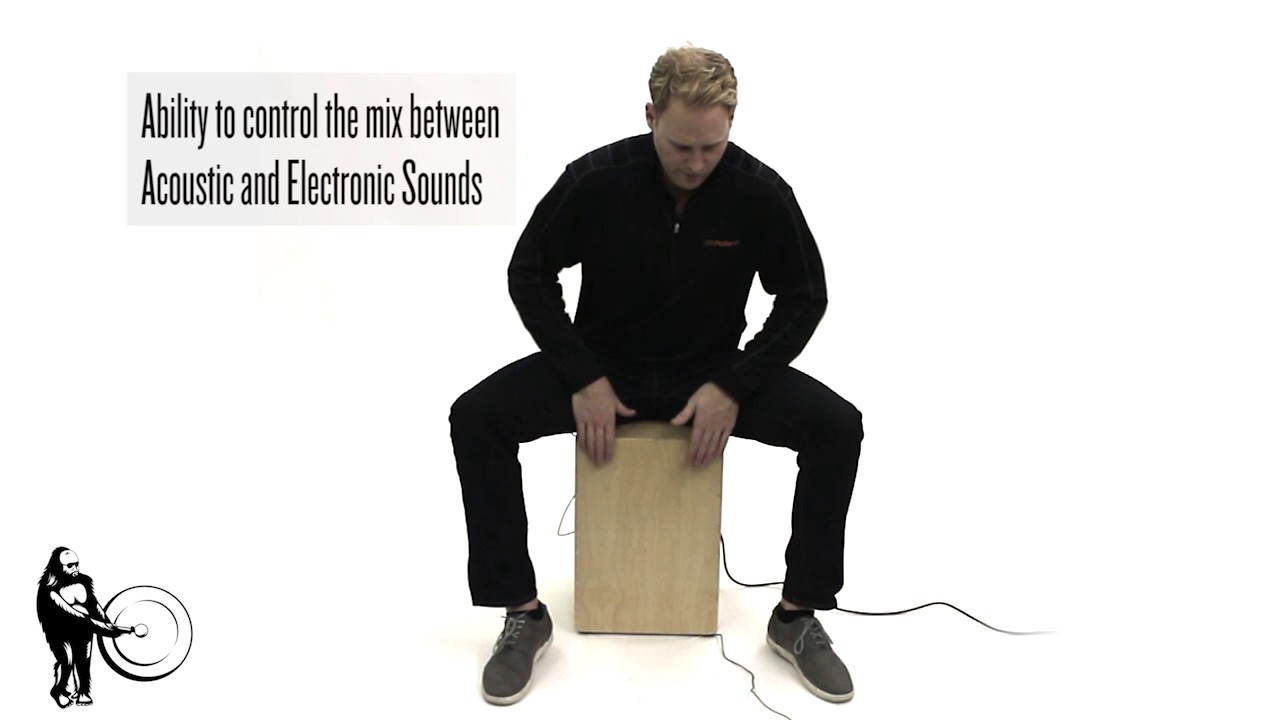 Roland EC-10M El Cajon Mic Processor | Steve Weiss Music