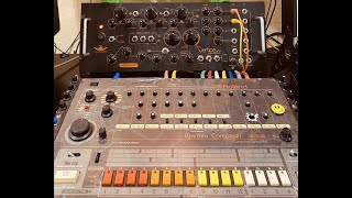 DREXCIYA DEVILSHARK TR-808 distortion jam