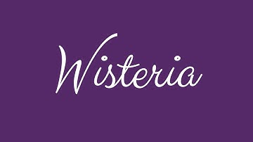 Learn how to Sign the Name Wisteria Stylishly in Cursive Writing