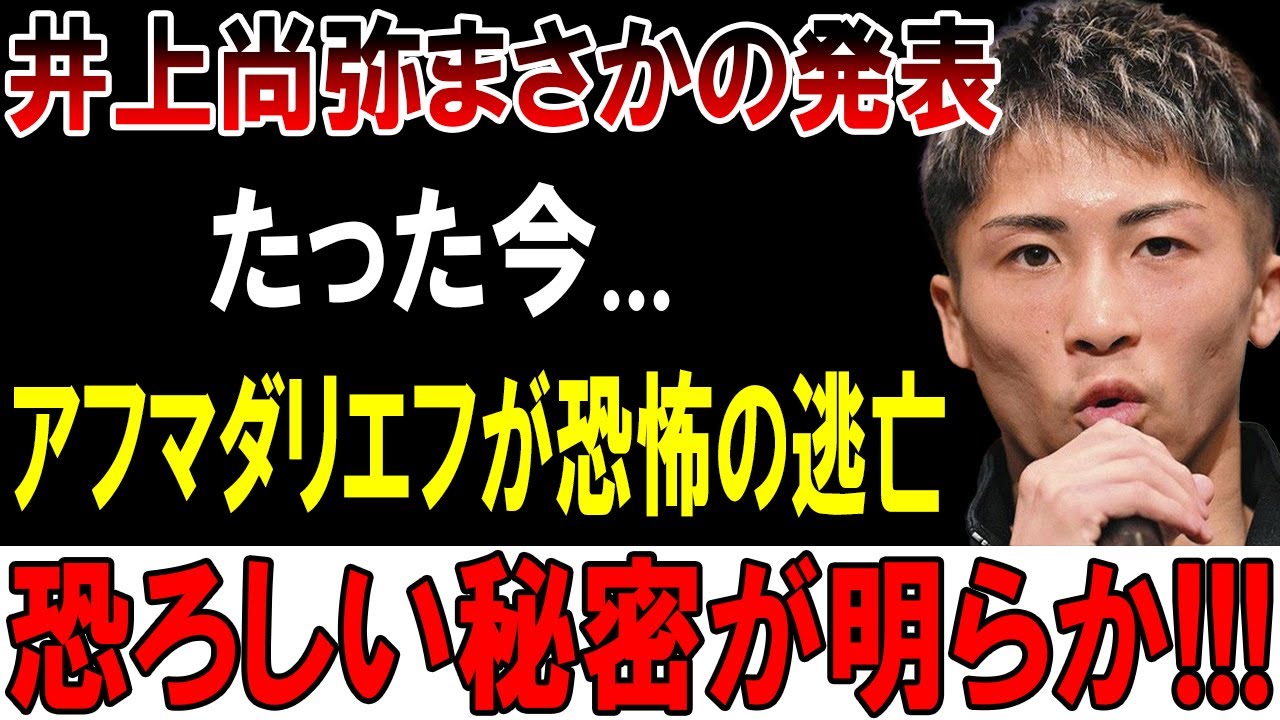 井上尚弥 TheChampⅡ ザチャンプⅡ Fightingspirit カード Amazon.co.jp: 井上尚弥 TheChampⅡ ザチャンプⅡ