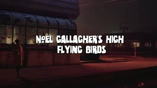 Watch Noel Gallaghers High Flying Birds Revolution Song video