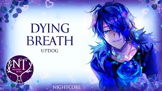 Nightcore - Dying Breath (Lyrics)