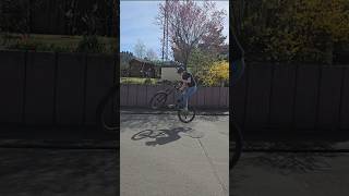 Trend🤷‍♂️ #mtb #propain #tyee #barspin #trend