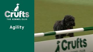 Rescue Dog Agility | Crufts 2023