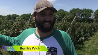 Colonial Gardens - One Large Berry Patch