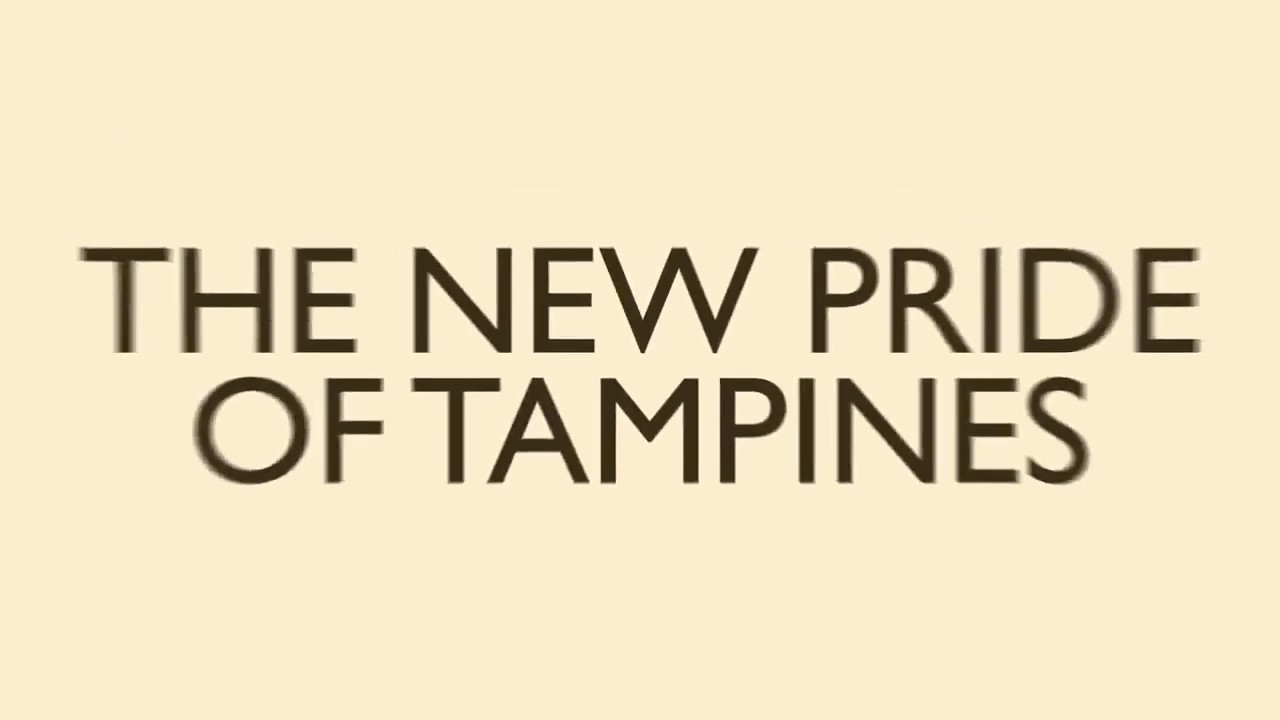 The Tapestry Condo Official Fly Through Singapore