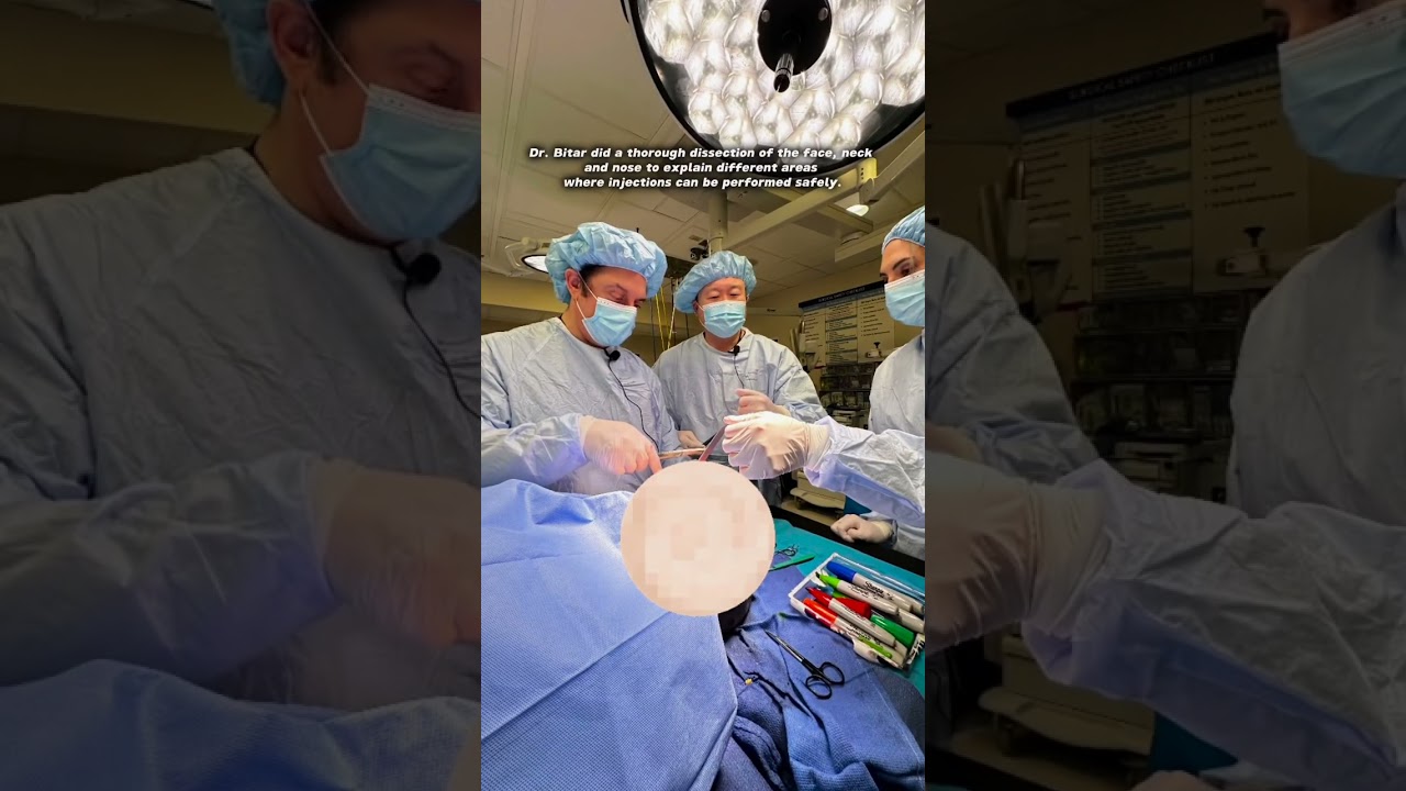 The Cadaver Art Aesthetic Summit!