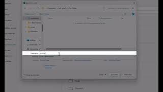 How to password-protect an Excel file!