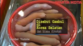 ikan penis ternyata ada
