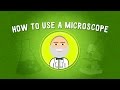 How to Use a Microscope