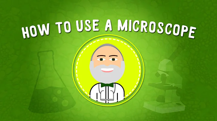 How to Use a Microscope | STEM