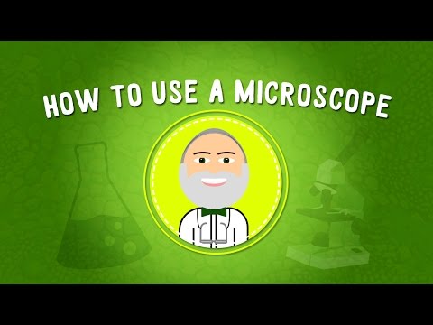 How to Use a Microscope | STEM