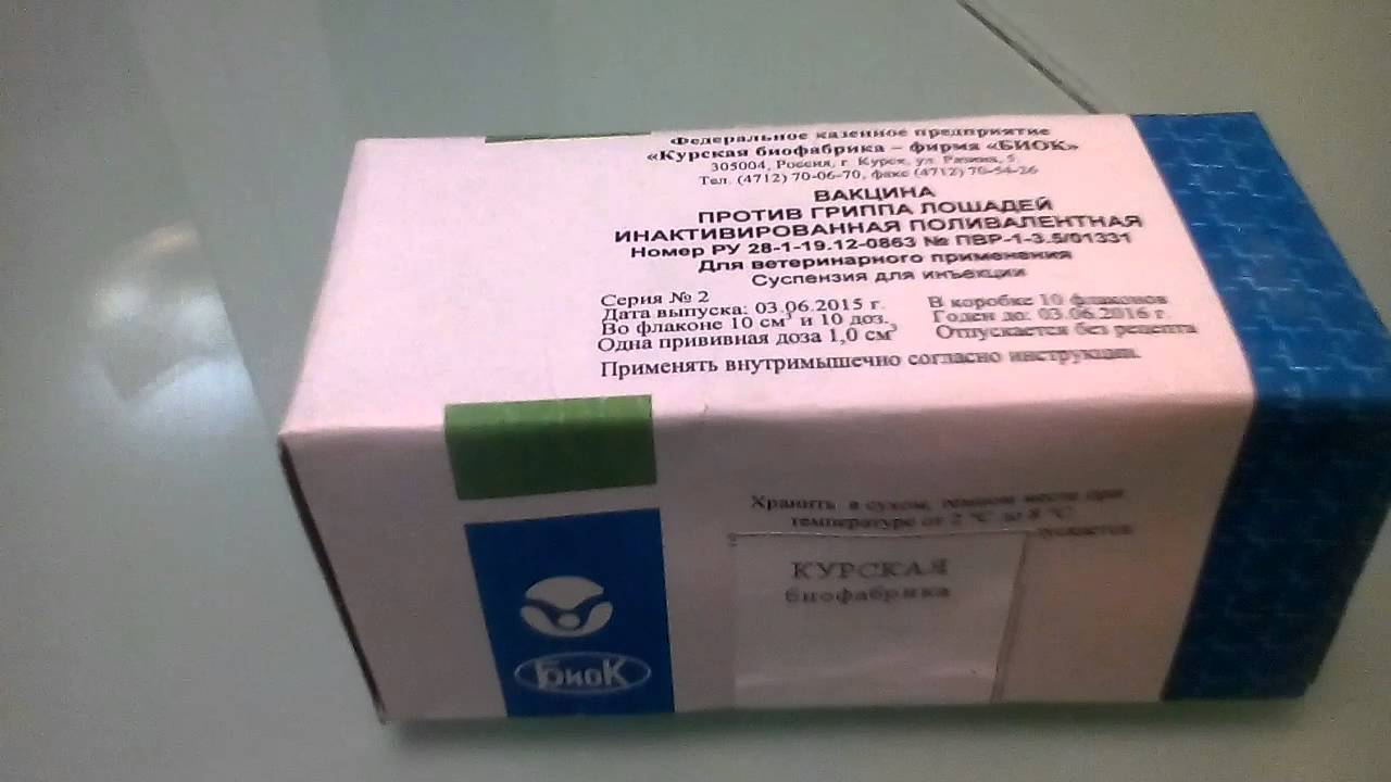 Вакцина 55. Вакцина против гриппа лошадей Курская Биофабрика. Вакцина против гриппа лошадей инактивированная поливалентная. Вакцина против гриппа лошадей /Биок/10 доз.фл/. Поливалентная вакцина для лошадей.