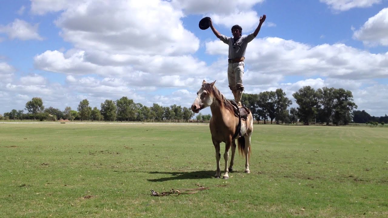 Gaucho Horse Whisperer at Estancia La Bamba de Areco YouTube