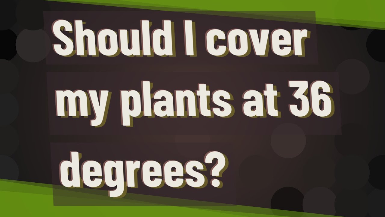 Will 36 Degrees Hurt Plants?