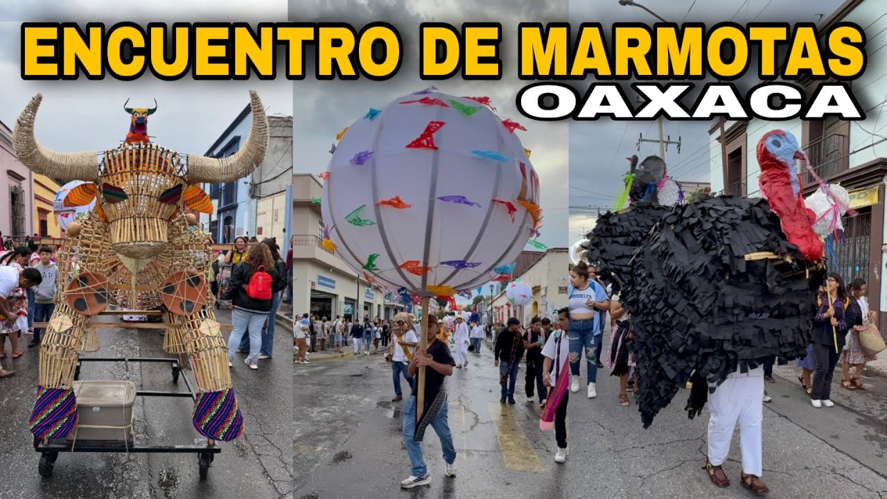 Encuentro de MARMOTAS, Faroles y Monos de Calenda en la Ciudad de Oaxaca / Guelaguetza 2025
