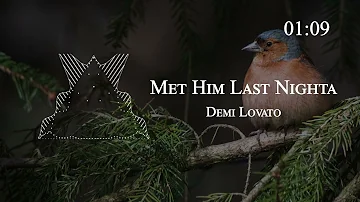 Demi Lovato - Met Him Last Night ft. Ariana Grande