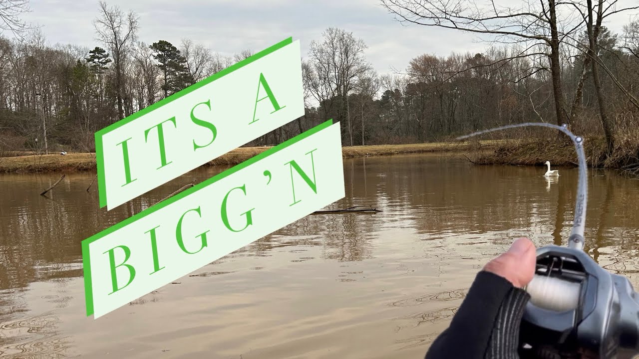 This bait catches Bass (February Bass Fishing)