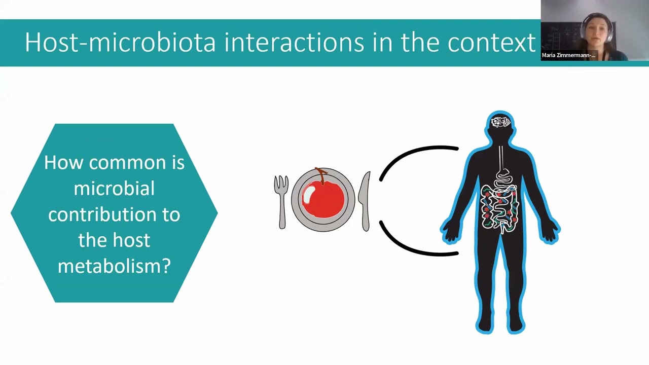 SymbNET Seminar Series - Maria Zimmermann-Kogadeva, EMBL