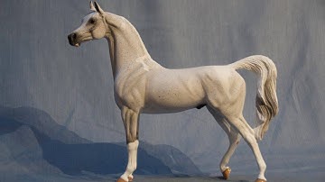 Painting a Model Horse - Fleabitten Grey Tutorial