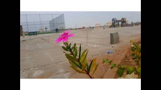 Balochi Saaz| balochi song (short video) WHATSPP_STATUS |GWADAR BALOCHISTAN/URDU BALOCHI screenshot 5