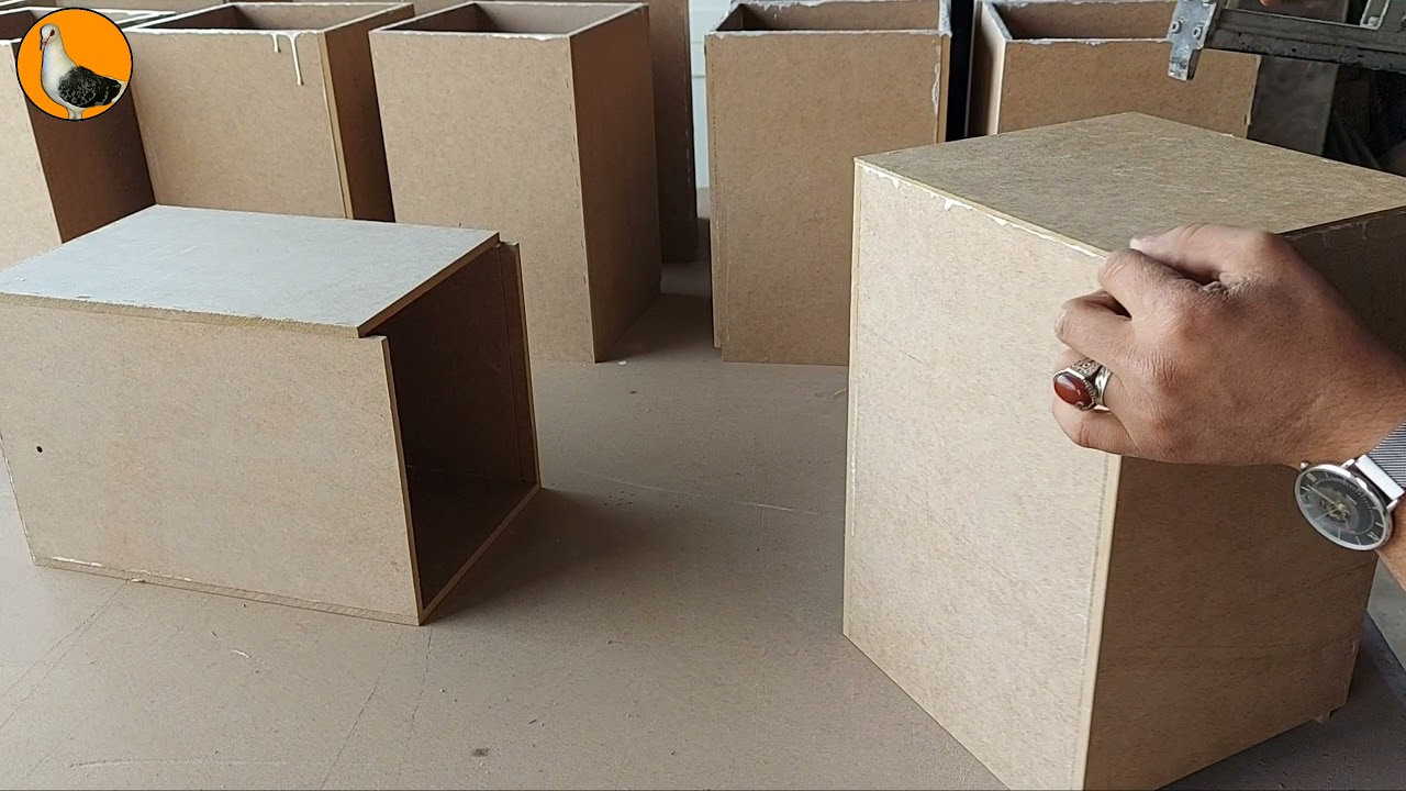 صنع بياضات لطائر الكوكتيل (الكروان)