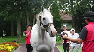 舌出しゴルシ しただしごるし とは ピクシブ百科事典
