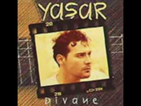 Yaşar Cezayir Menekşesi