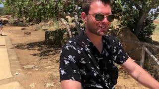 IMG 4978