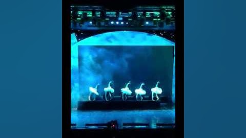 Nhà Hát Múa Rối Việt Nam-Vu Dieu Thiên Nga