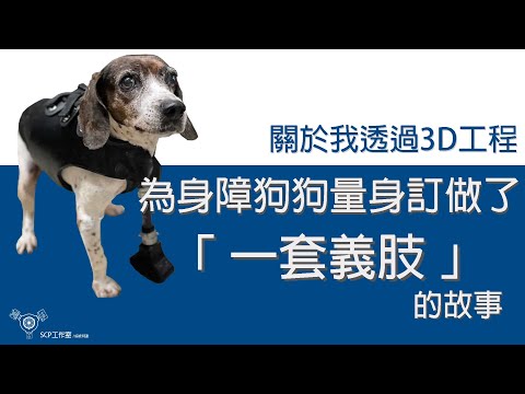 我使用3D技術，為身障狗狗量身訂做了一套義肢 | 3D工程