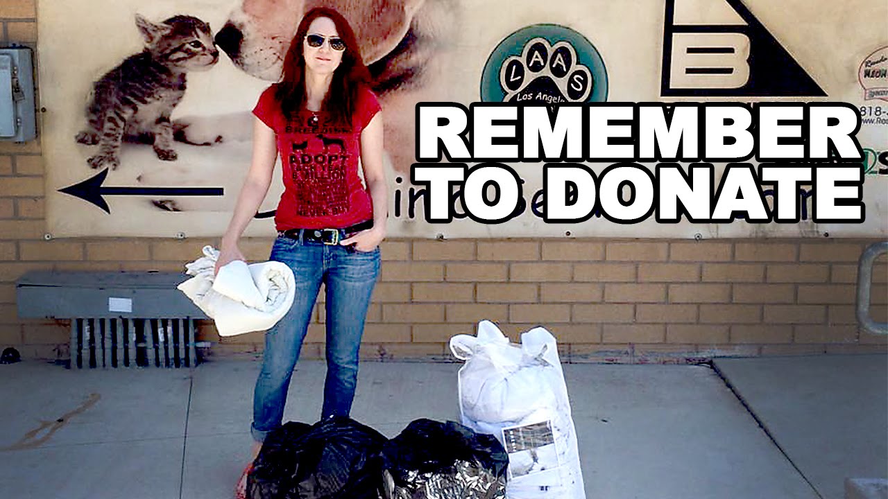 Donate Sheets and Towls to an Animal Shelter YouTube