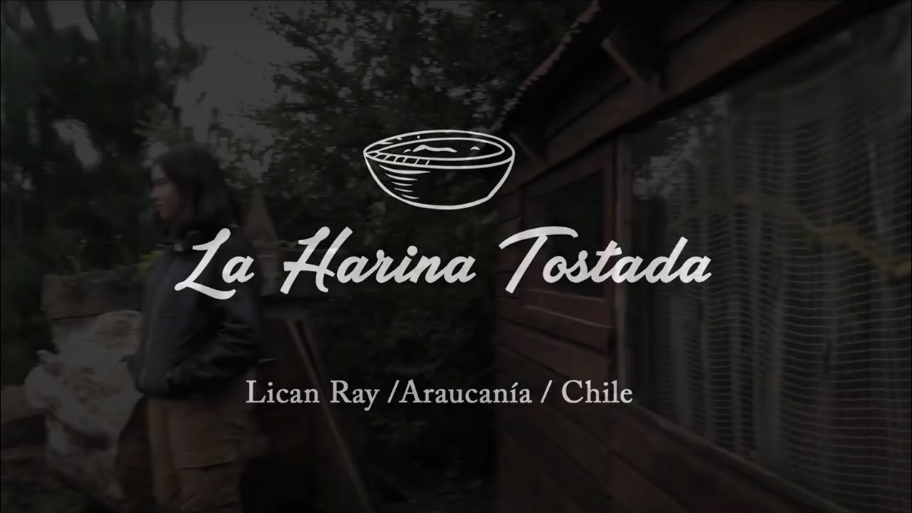 Que es la Harina Tostada? / Lican ray, Chile 🇨🇱