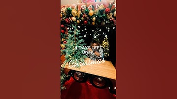 Christmas Trees galore so which one would you pick?  Only 4 More Days Until Christmas!