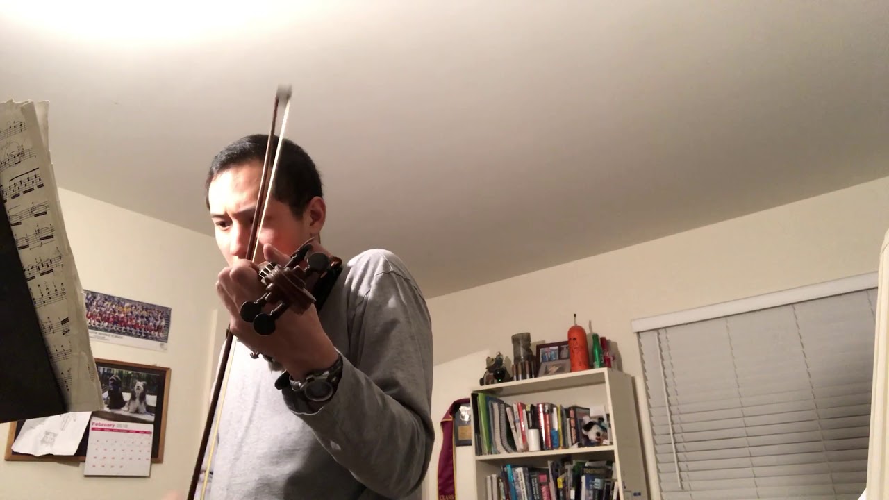 Electric Daisy Violin Cover - Hanli Tjahyono