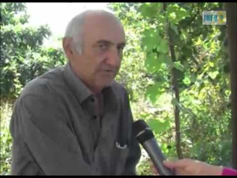 „ხვნაში გარიგება სჯობსო\"