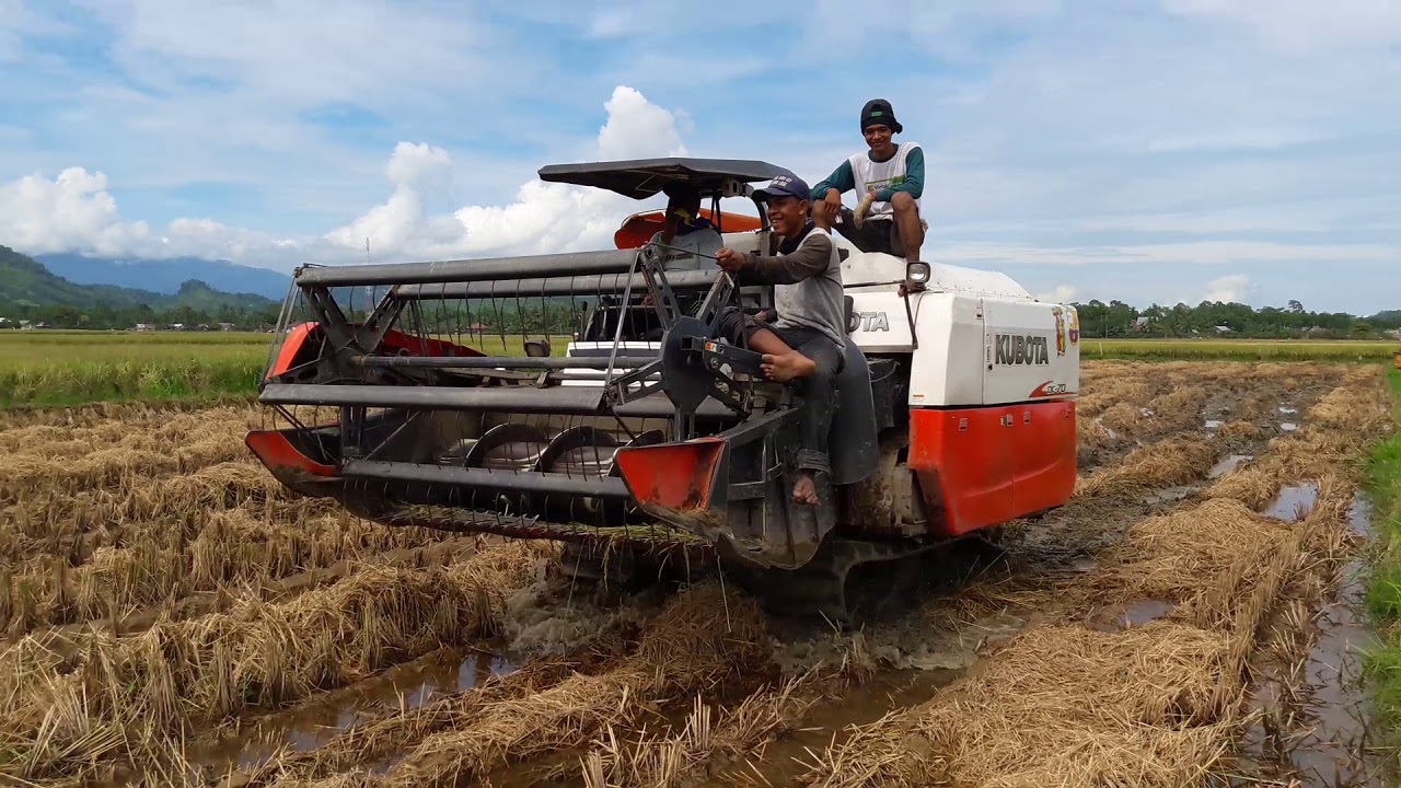 Yanmar VS Kubota YouTube