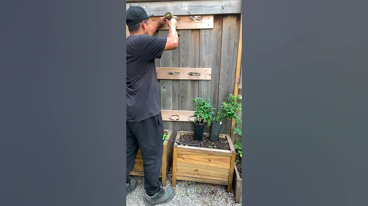 I turned my fence into beautiful vertical garden