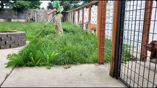 Her Lawn Guy Vanished... Now the Backyard’s a Jungle