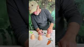 Easy DIY Carrots 🥕#garden #spring #carrot #easydiy #artsandcrafts #diy #easter #easterdiy