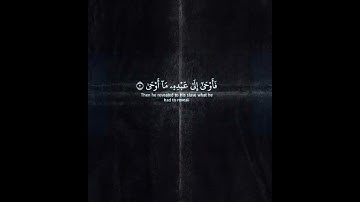 سوره النجم بصوت ياسر الدوسري 😇😇😇