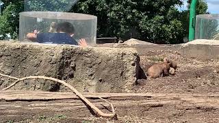 Turtle Back Zoo - Summer 2019