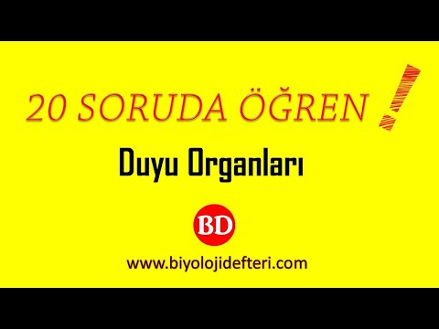 ? 20 SORUDA ÖĞREN ! I Duyu Organları#2 ( 11 - 20 Arası Sorular )