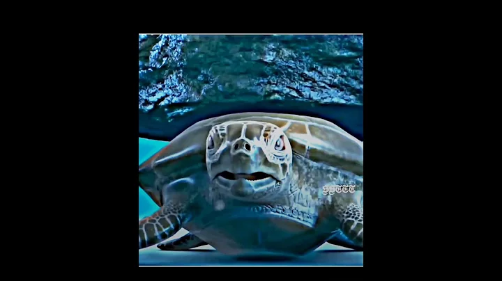 ShivShakti samudra manthan video🔥💯😡|Shiv Shankar new trending video #shorts#youtubeshort #viral