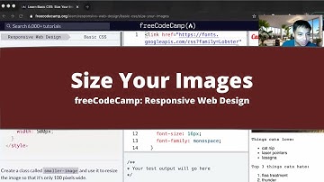 Size Your Images (Basic CSS) freeCodeCamp tutorial